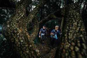 BIB: 
                            <button type="button" onclick="openModal(25693517)" class="btn btn-primary btn-sm float-right btn-popup" data-toggle="modal" data-target=".modal-high-quality">
                        <i class="fas fa-shopping-cart"></i> Add to Cart
                    </button>
                                            <button type="button" onclick="isThisMe(25693517, true)" class="btn btn-success btn-sm float-right btn-popup btn-isme hidden" data-toggle="tooltip" data-placement="bottom" title="นี่คือรูปของคุณใช่ไหม คลิกที่นี่เพื่อเอาเข้าอัลบั้ม">
                        <i class="fas fa-plus"></i> Add to album
                    </button>
                    <button type="button" onclick="isThisMe(25693517, false)" class="btn btn-warning btn-sm float-right btn-popup btn-isnotme hidden">
                        <i class="fas fa-ban"></i> Remove from album
                    </button>